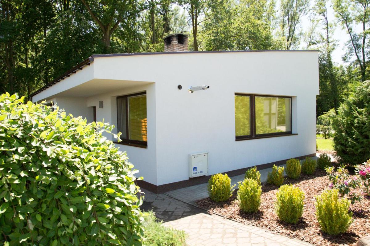 Camping Oaza Błonie Kórnik Domki Standard Plus - 3 pokoje Exterior foto